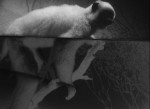 OJOBOCA: The Handeye (Bone Ghosts)
