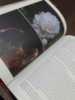 Schwartz Book2 copy